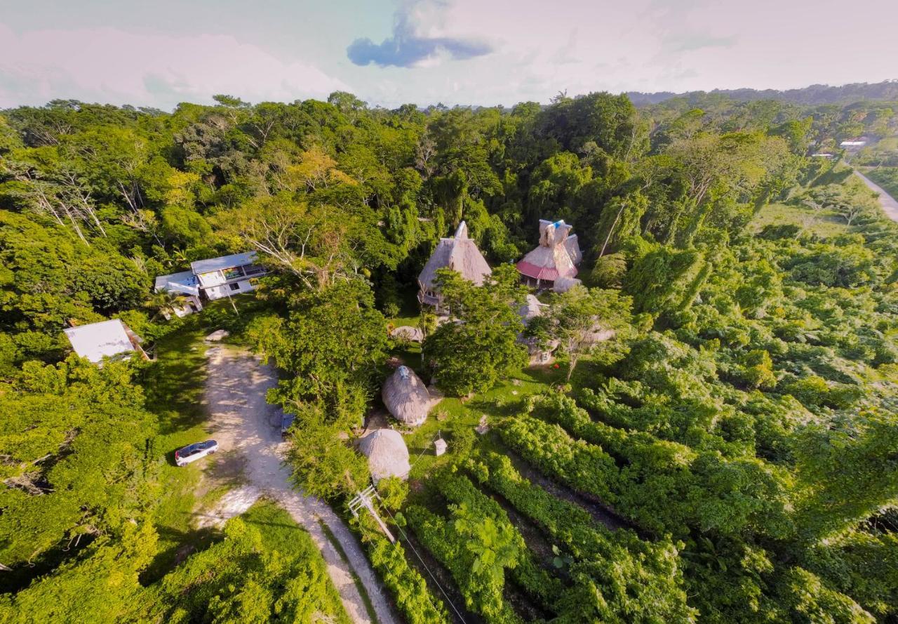 Eco Hotel Sak Nok Lacanjá Exteriér fotografie