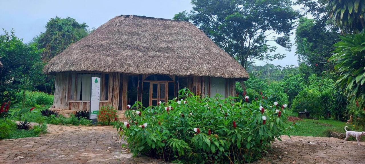 Eco Hotel Sak Nok Lacanjá Exteriér fotografie